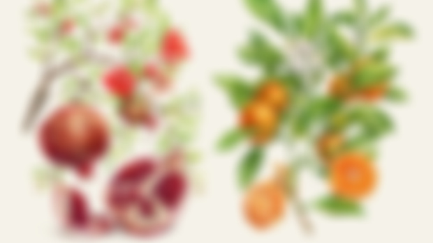 Pomegranate & Citrus