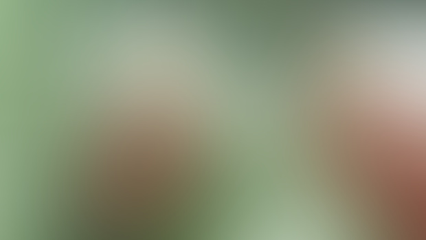 Wuthering Waves Art Contest [WIP 2]