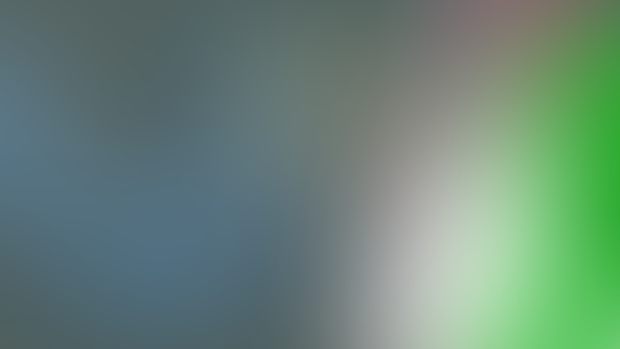 Zangoose raspberries animation update