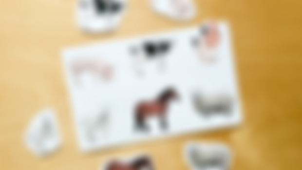 Picture to Picture - Farm Animals