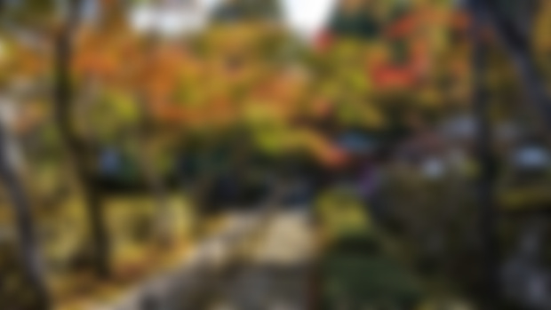 Autumn Japan