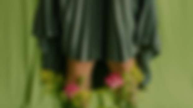 👠 Monthly Update: December 2024