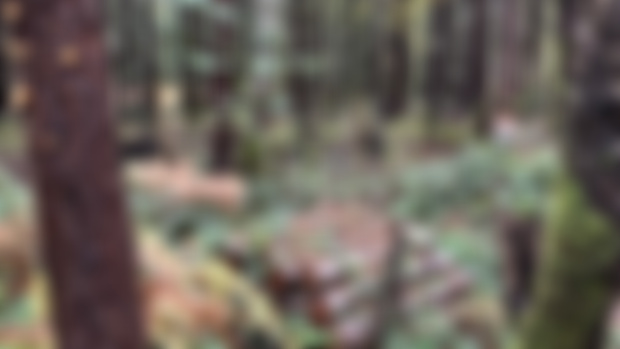 [CONVERSATION] Tal Engel // Integrative Forest Rehabilitation