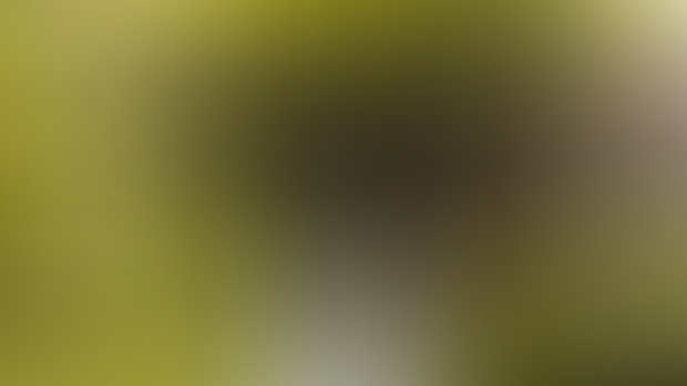 SM