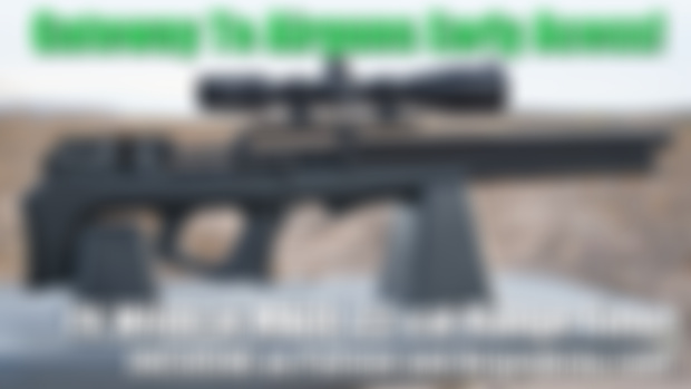 FX Wildcat MKIII .22 cal Range Time! - EXCLUSIVE Early Access Content!
