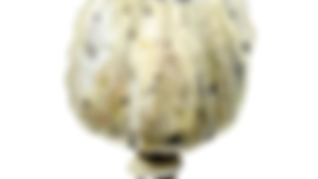 Written Tutorial: Winter Poppy Seed Head