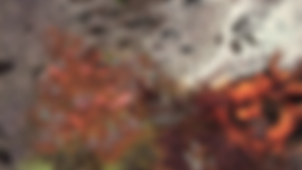 The Divine Plateau catastrophe 