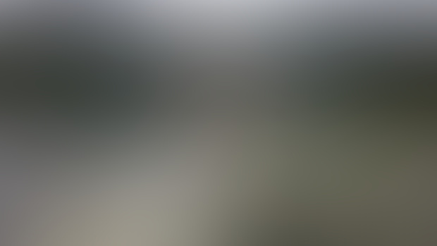 Misty Mount Rainier
