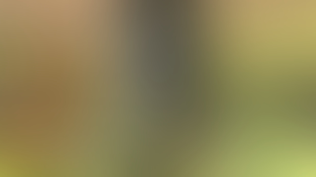 2024 - Outdoor 06
