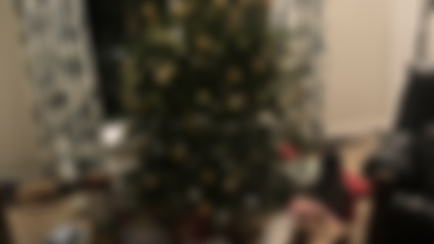 Dumteedum Newsletter (Christmas Special)