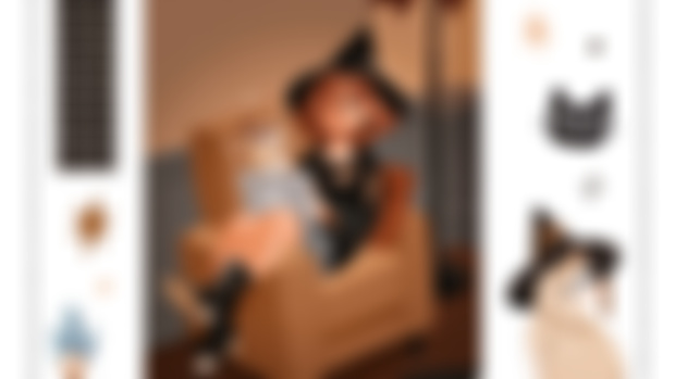 ✧･ﾟJanuary Collection: The Black Cat Café ･ﾟ✧