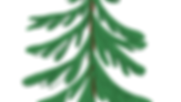 Happy Winter Holidays!!
