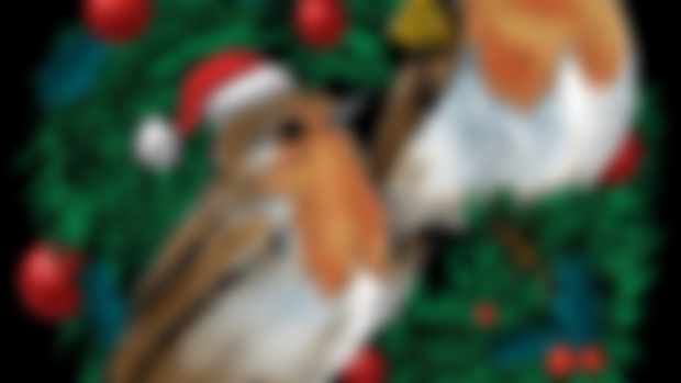 Merry Christmas everyone~!