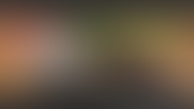 Nightly_Build Patch-Notes: FeralIsland_v0.16.287
