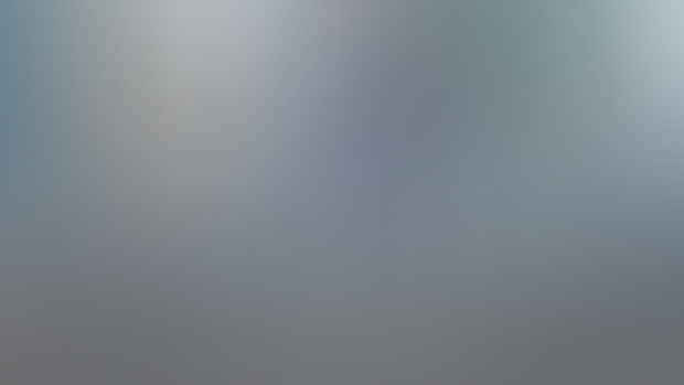 Kitty & Puppy 3 (animation)