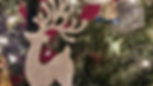 Happy Holidays!