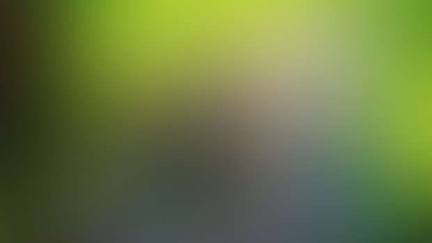Feixiao x Mitachurl 1080p | Tier 2 |