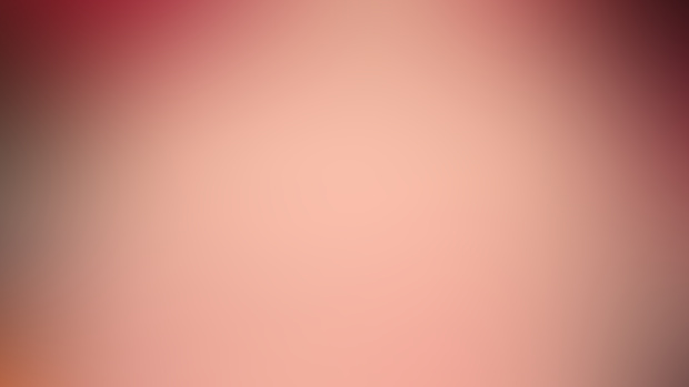 Nog Hog 12