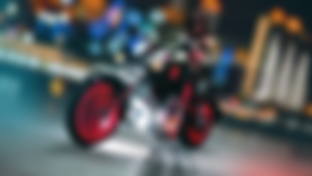 Shadow the Hedgehog photoshoot 📸