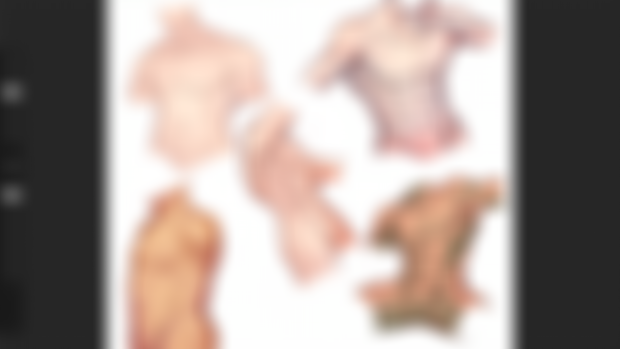 Torso sketches