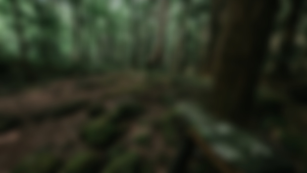Project Update December 27th, 2024