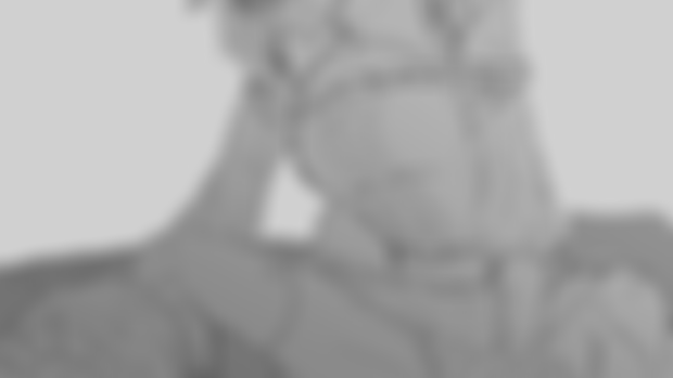 Commission WIP
