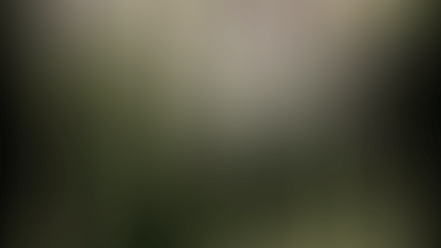HAPPY NEW YEAR 2025 gif !