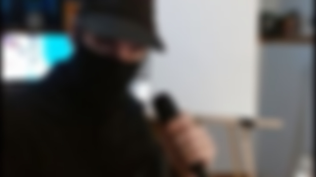 Burglar Stream