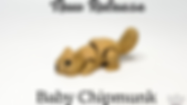 New Release - Baby Chipmunk