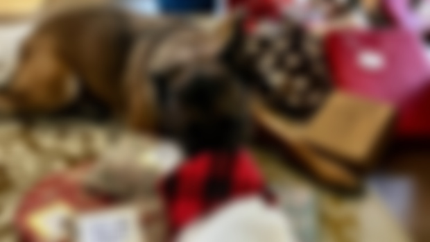 Friday January 3rd 2025 Live Q&A