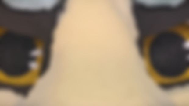 The final fursuit of 2024