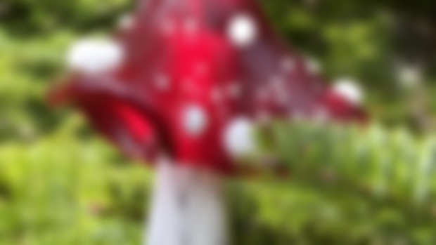 Step by Step Mushroom Magic 🍄✨