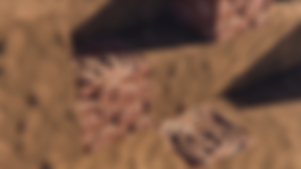 WHAT'S NEXT: 048