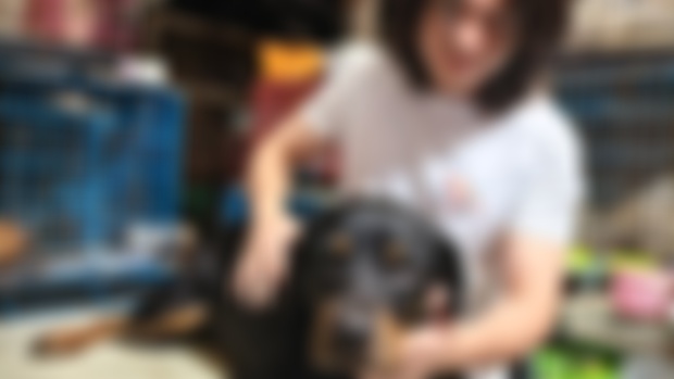 Kimi Update 