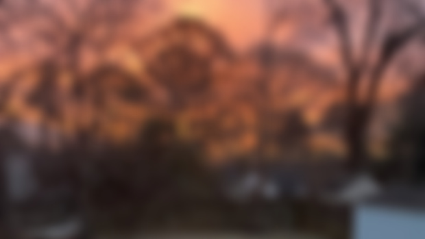 Yield (60:00 Meditation)