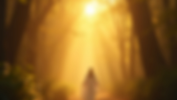 Daily Message ~ Tuesday December 31, 2024