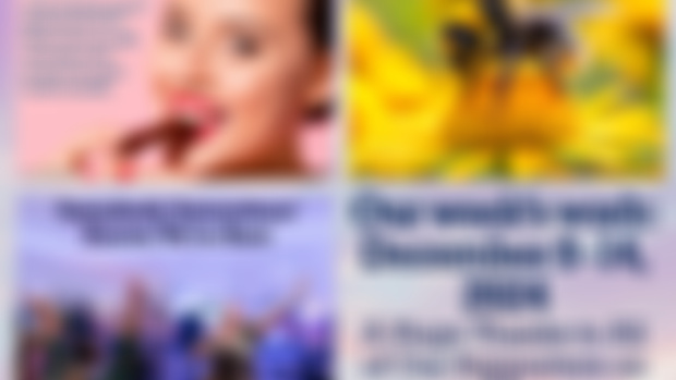 Our Week's Work – December 8 - 14, 2024