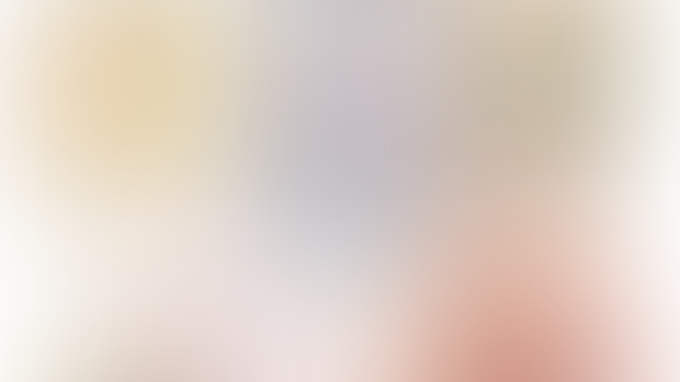 DECEMBER 2024 Patron Colors