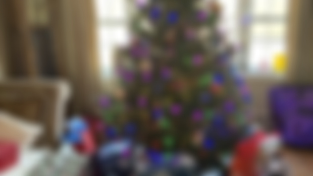 holiday in connecticut 🎄 weekly photo diary!