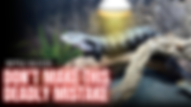 New Year, New Video! Happy New Year!