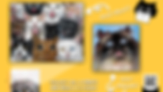 January Noodle Mail Preview! 🤩