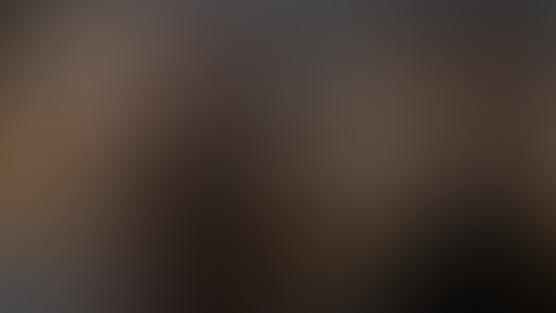 [Weekly Development Update #51]