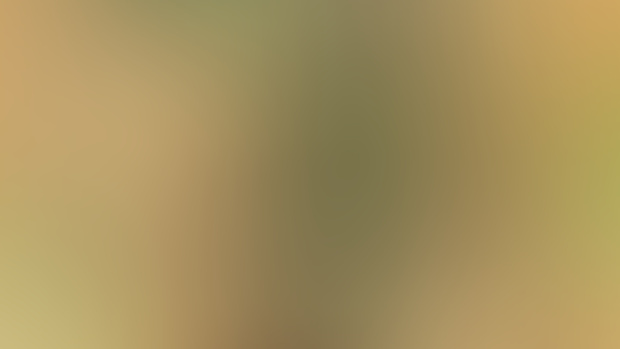 Full Resolution Pokémon! (Carterpie Line)