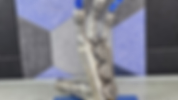 Sneak Peek 1/2/25