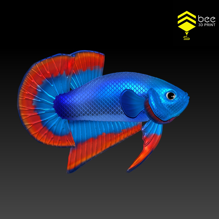 Betta Fish 2 - Ready for 3D print