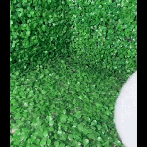 Airless Egg Pen holder