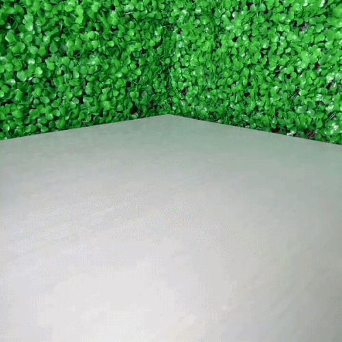 Cute Rabbit - Kawaii Rabbit