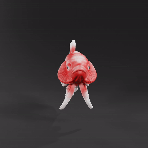 Betta Fish V3 - Ready For 3D Printing