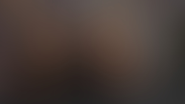 Dragon Age: The Veilguard Companions
