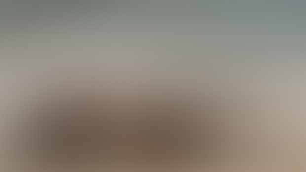 Tropical Nudist | Free